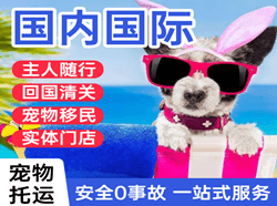 广州白云航空快递国际宠物托运 【国